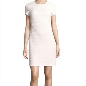 Rebecca Taylor Dia Lace Sheath Dress Ivory Textured Short Sleeve Size 6